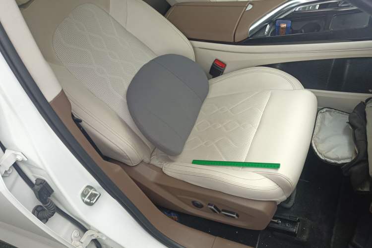 Used VOYAH FREE 2021 Four-Wheel Drive Standard All-Electric Exclusive Luxury Package