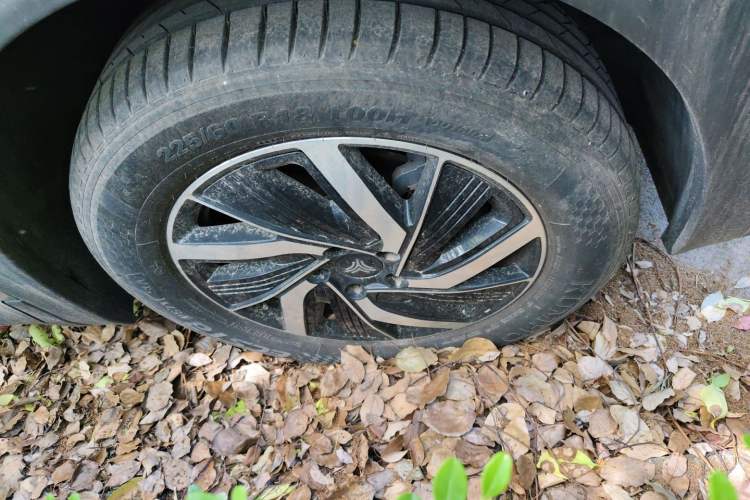 Used NETA U 2021 Pro 400 Cruiser Edition