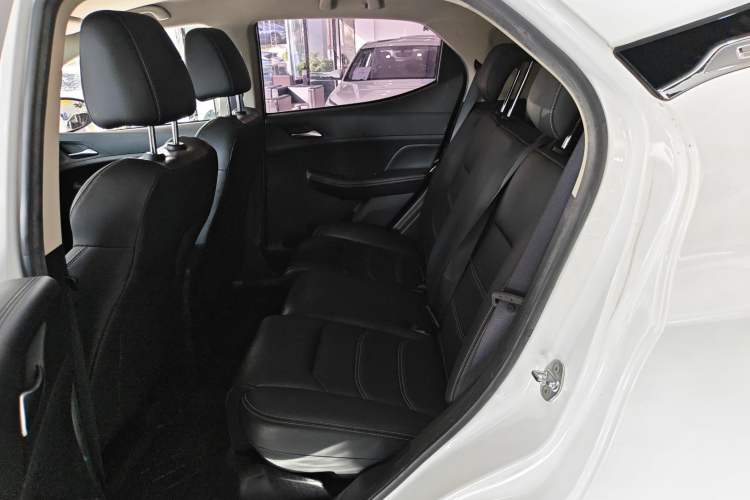 Used BYD Yuan New Energy 2019 EV535 Smart Connect Trendsetting Model
