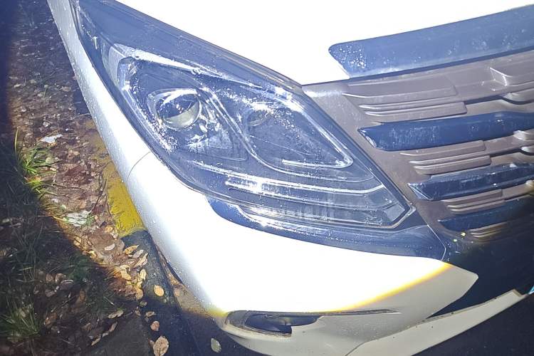 Used FORTHING M7 2022 Lingjue Model 2.0T Automatic Earl Edition
