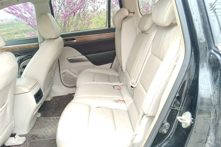 Used GAC Trumpchi GS8 2017 320T Two-Wheel Drive Luxury Smart Connectivity Version (7 Seats) Left Rear Seat