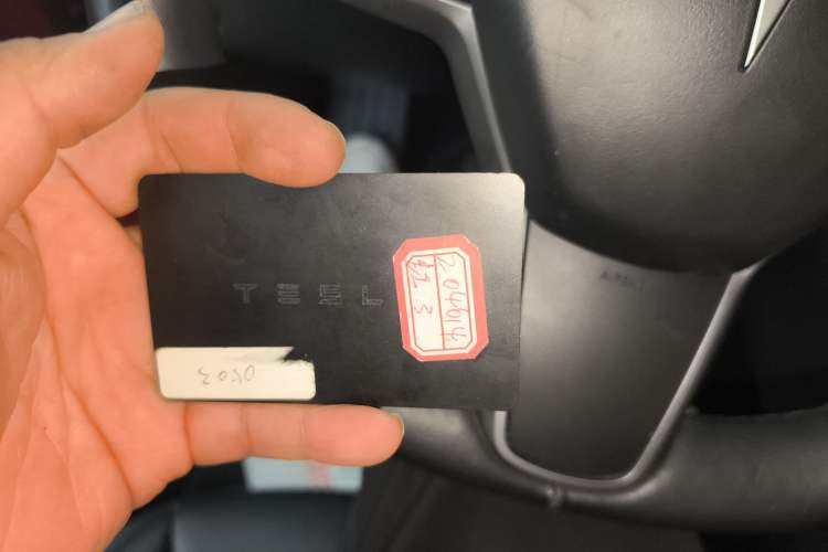 Used Tesla Model 3 2019 Long-Range All-Wheel-Drive Version
