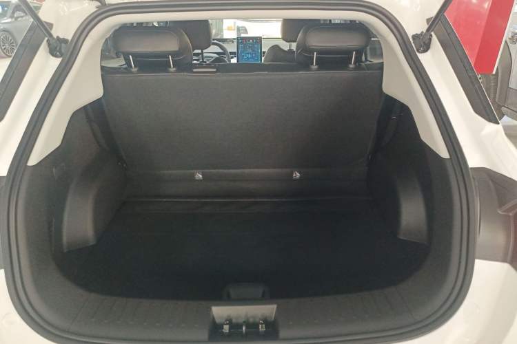 Used NETA AYA 2023 401 Lite Trunk