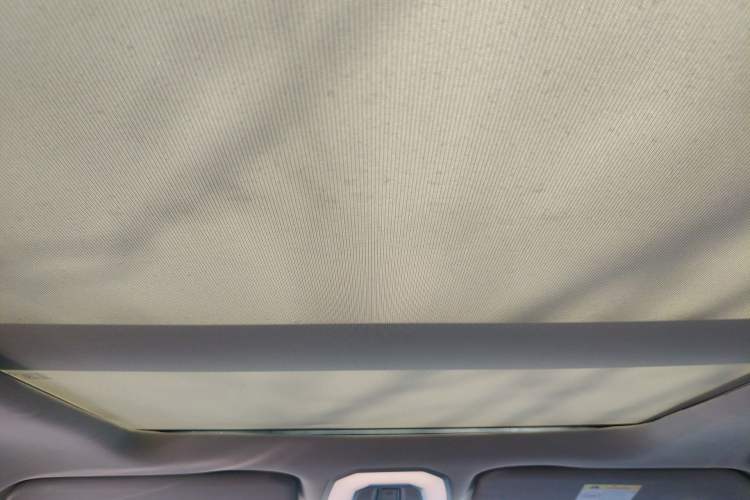 Used Venucia Star 2021 260T Automatic 48V Mild Hybrid Turbocharged Star曜 Edition Headliner