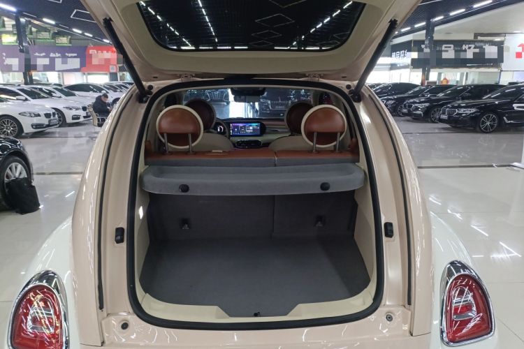 Used ORA Ballet Cat 2022 401 km Nutcracker Edition