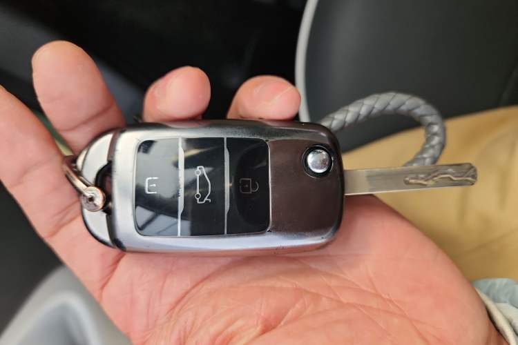 Used Qiyuan Lumin 2024 205km Orange Wind Edition