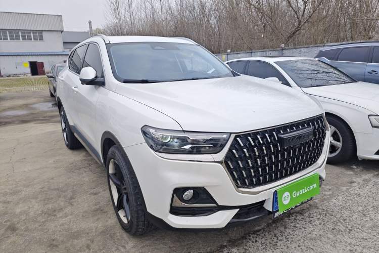 Used Haval H6 2023 National Trend Edition 1.5T Automatic Champion Version Exterior 1