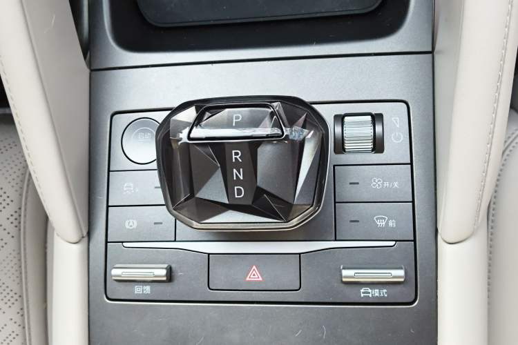 Used BYD Yuan UP 2024 401 km Active Version Gear Lever