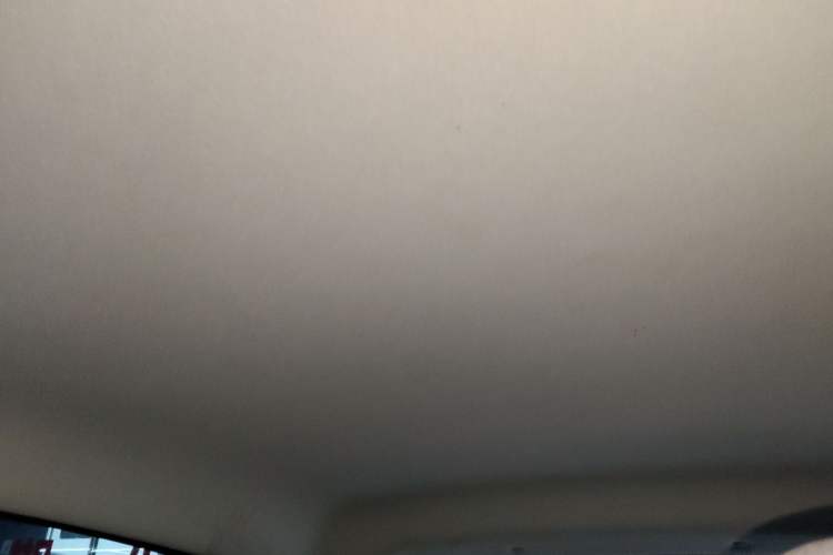 Used Leapmotor T03 2022 Crystal Edition Headliner