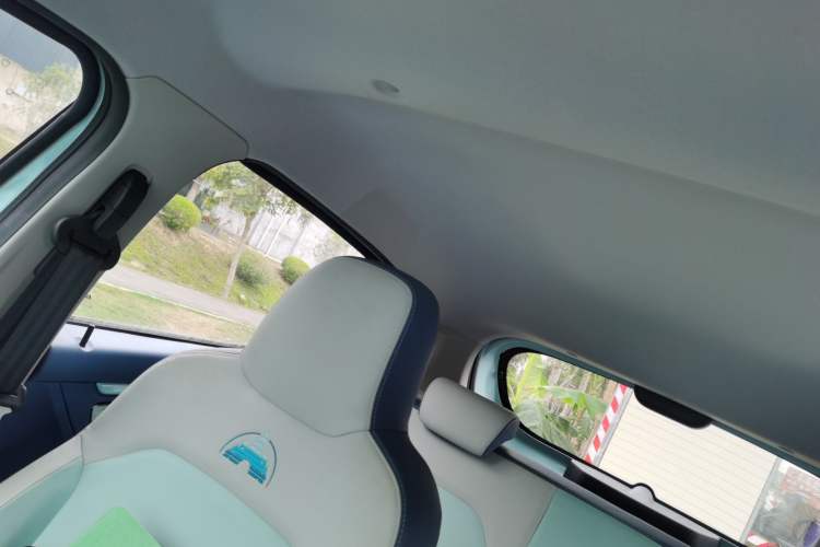 Used Dongfeng NAMMI EX1 2023 PRO Light Wind Edition Lightning Model Headliner