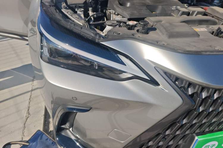 Used Lexus NX 2023 260 Front-Wheel Drive Chuanchi Edition
