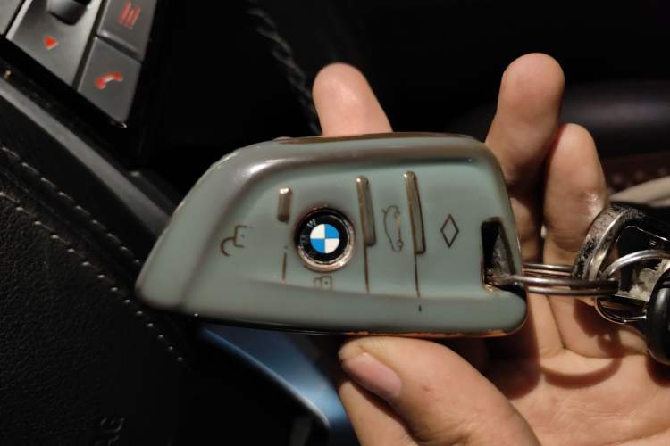 Used BMW 5 Series New Energy 2020 Mileage Upgrade Version 530Le Luxury Package
