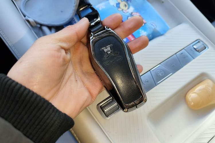 Used BYD Xia 2025 DM-i 1.5T 180km Excellence Model