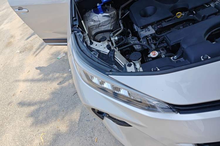 Used Toyota Wildlander 2020 2.0L CVT 4x4 Luxury Edition
