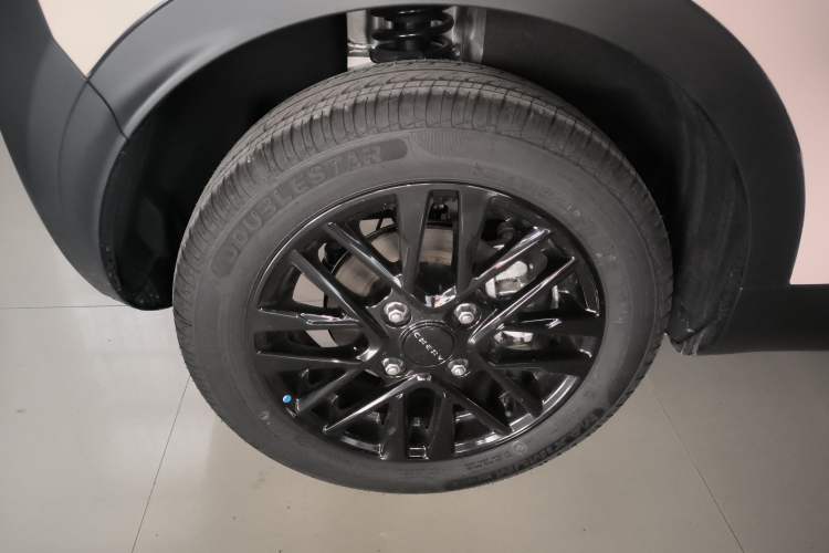 Used Chery Little Ant 2024 Revised Version Youth Edition 251 km True Love Edition 25.05 kWh
