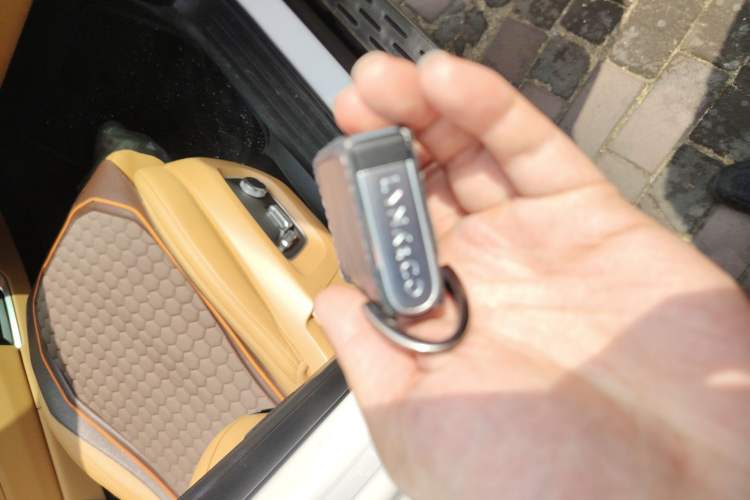 Used Lynk & Co 09 EM-P 2023 2.0TD EM-P Four-Wheel Drive Asian Games Executive Edition Five Seats
