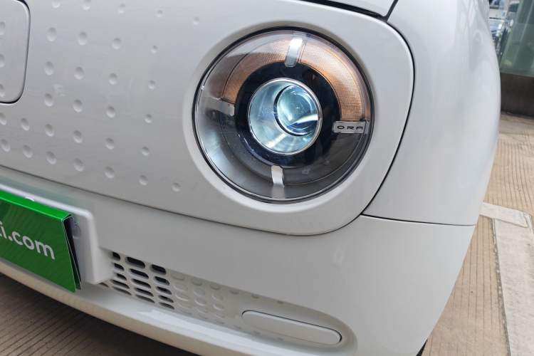 Used ORA Black Cat 2021 301km Cute Pet Edition