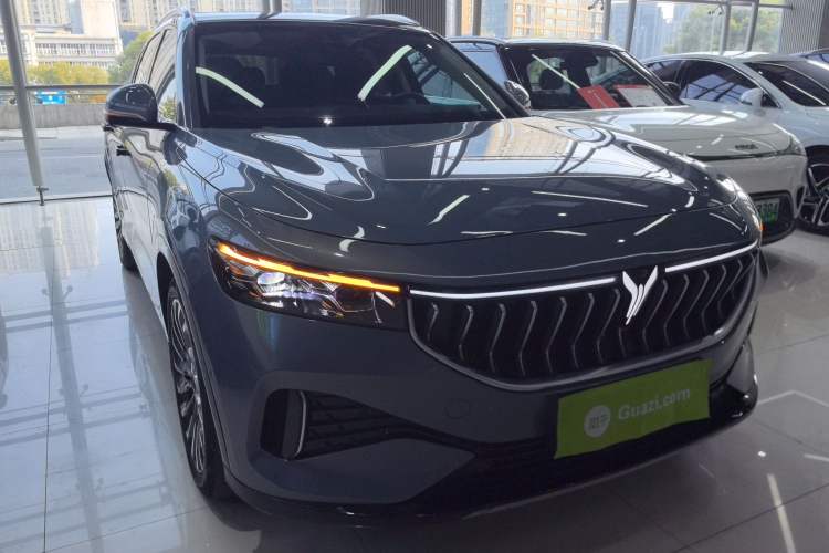 Used VOYAH FREE 2021 Four-Wheel Drive Standard Range-Extended Exclusive Luxury Package
