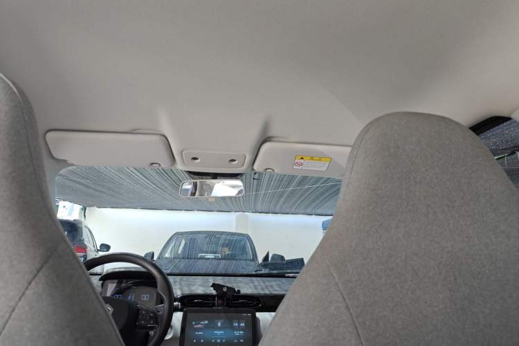 Used Leapmotor T03 2023 310 Lite Edition Headliner