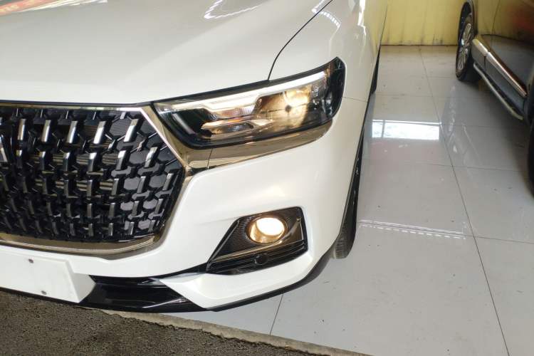 Used Haval H6 2023 National Trend Edition 1.5T Automatic Urban Version
