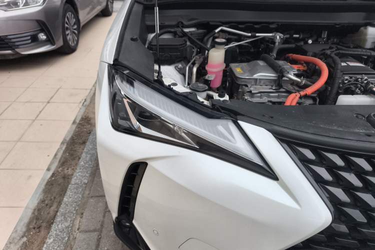 Used Lexus UX New Energy 2020 300e Pure·Joy Edition