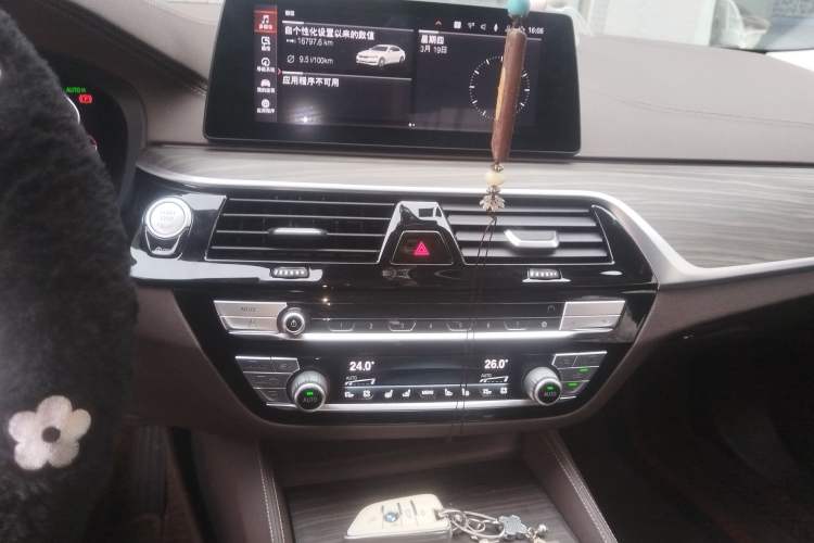 Used BMW 5 Series 2020 530Li Luxury Edition Premium Package