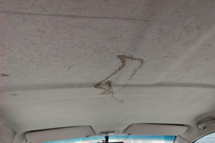 Used Chery Cowin 1 2011 1.0L Manual Smart Edition Headliner