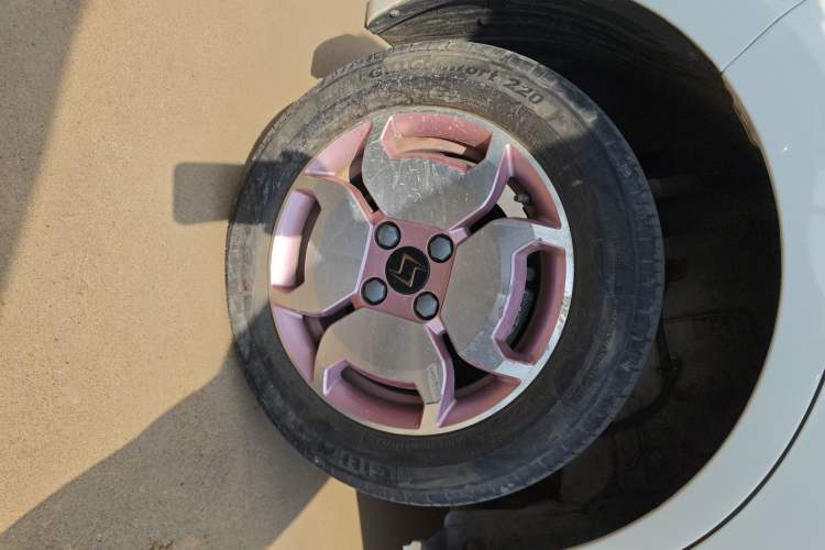 Used SOL E10X 2022 Flower Fairy Design Sunflower