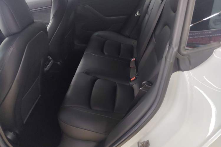 Used Tesla Model 3 2019 Standard Range Rear-Wheel Drive Upgraded Version (52 kWh) Left Rear Seat