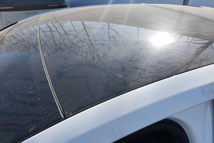 Used Ford Focus 2019 Hatchback EcoBoost 180 Automatic ST Line