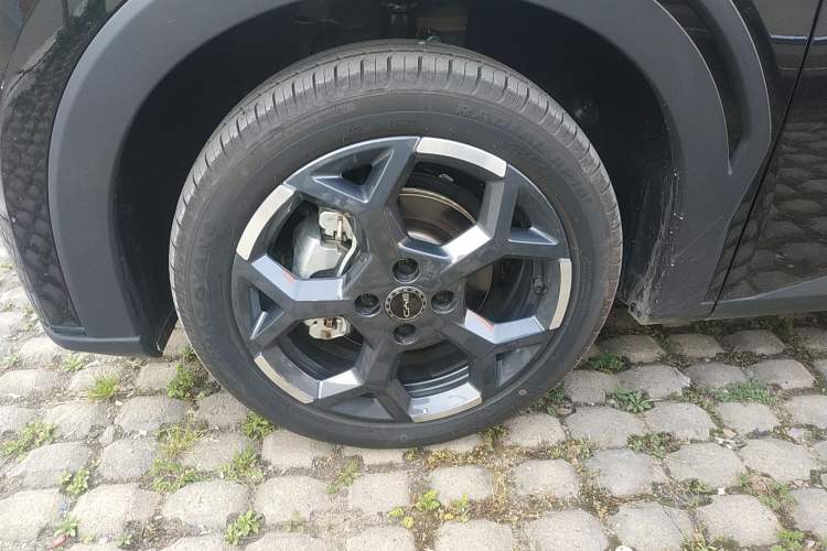 Used BYD Seagull 2025 305 km Free Version