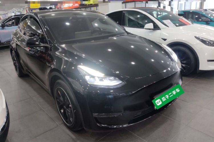Used Tesla Model Y 2021 Standard Range Rear-Wheel Drive Version
