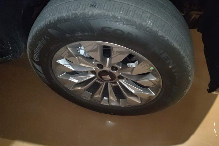 Used Tank 500 New Energy 2026 Model—Hi4-Z Smart Enjoyment Version