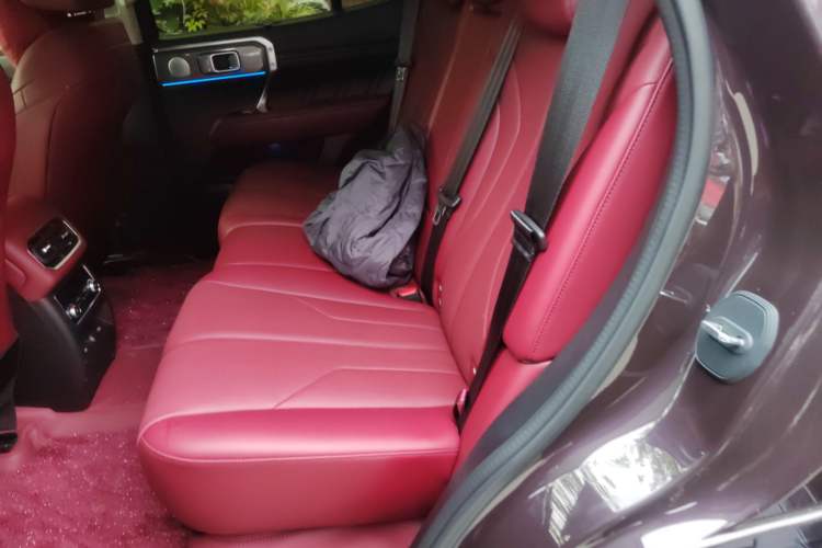 Used Tank 400 New Energy 2026 Model—Hi4-Z Smart Enjoyment Version Left Rear Seat