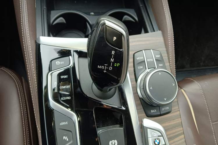 Used BMW 5 Series New Energy 2020 530Le Luxury Package
