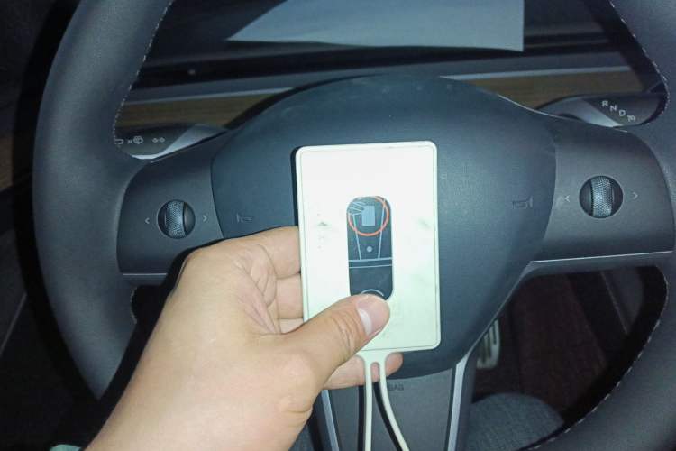 Used Tesla Model Y 2022 Rear-Wheel-Drive Version
