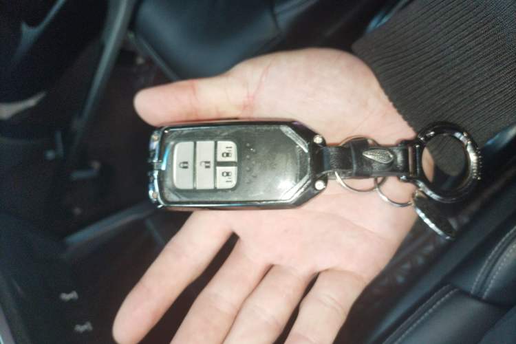 Used Honda Elysion 2019 2.0L Hybrid Luxury Edition