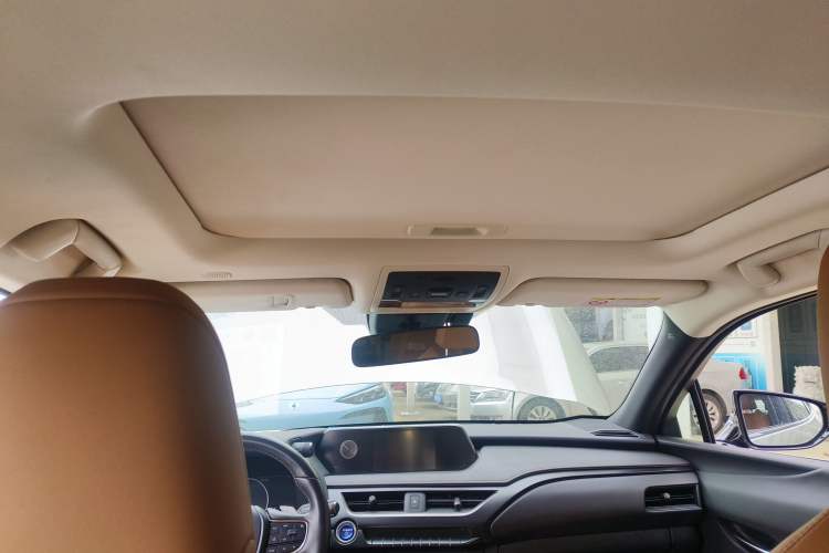 Used Lexus UX New Energy 2020 300e Pure·Joy Edition