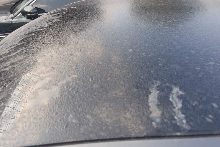 Used Changan UNI-V iDD 2024 Blue Whale Smart Electric iDD 136km ZhiKu Model