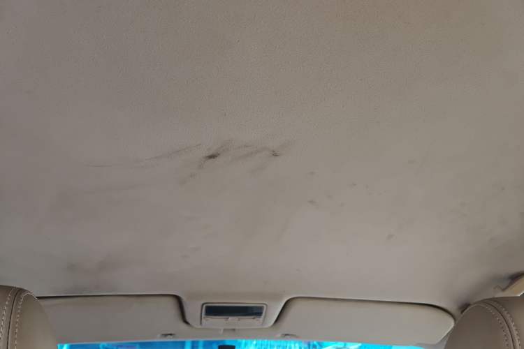 Used Volkswagen Santana Vista 2008 1.8L Manual Comfort Edition Headliner