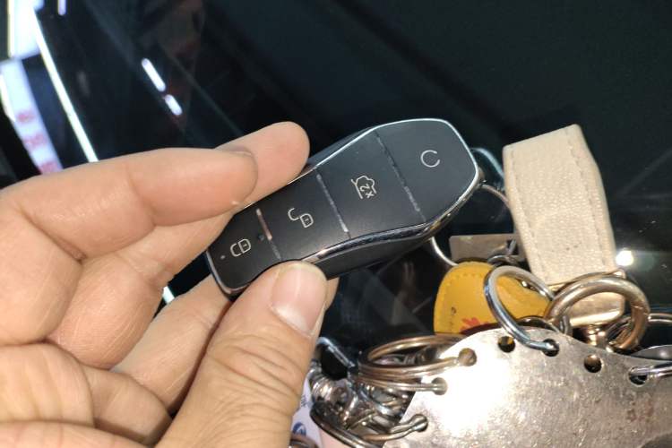 Used BYD Destroyer 05 2024 HONOR Edition DM-i 55KM Luxury Model