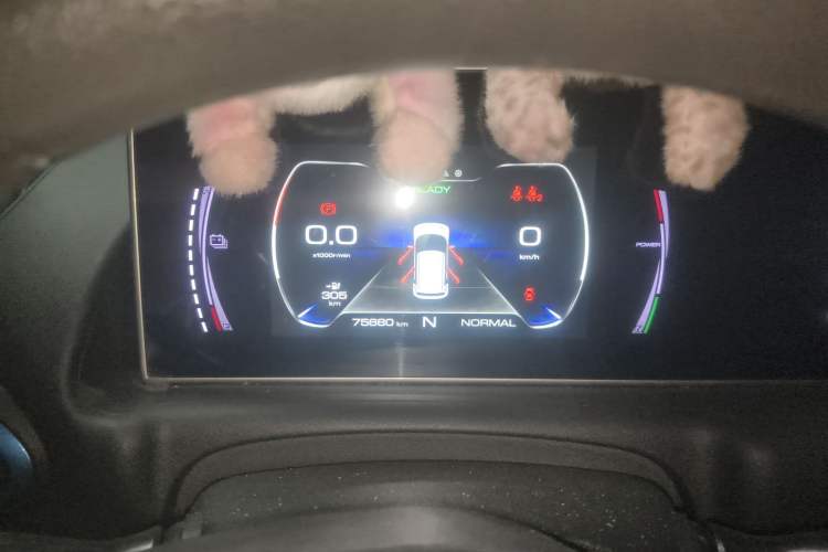 Used ORA White Cat 2020 305 km Luxury Version