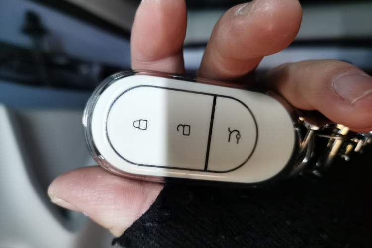 Used Leapmotor C11 2023 Pure Electric 500 Comfort Edition