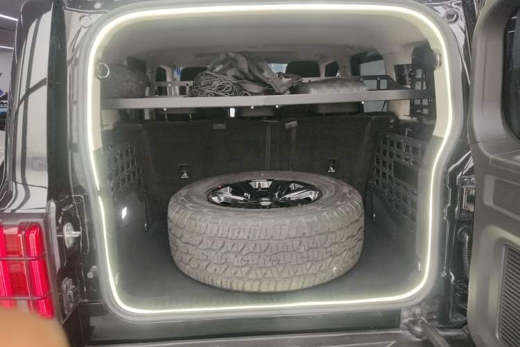 Used Tank 300 2021 Off-Road Edition 2.0T Conqueror