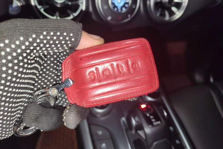 Used Tank 300 2021 City Edition 2.0T Essential Model
