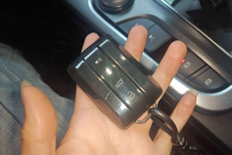 Used Tank 300 2024 2.0T Conqueror
