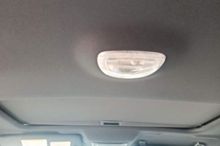 Used Ford F-150 Raptor 