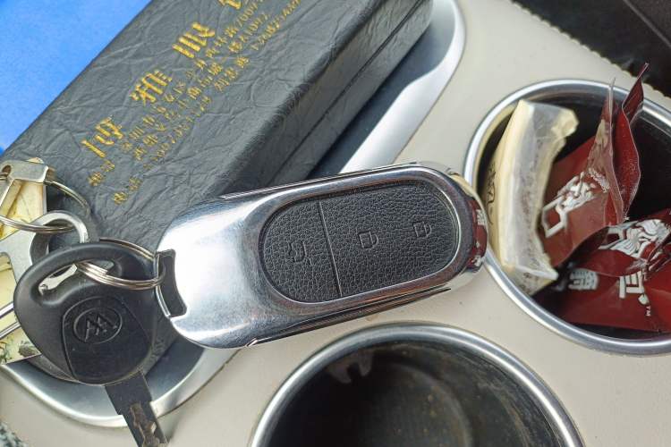 Used Leapmotor C11 2023 Pure Electric 500 Comfort Edition
