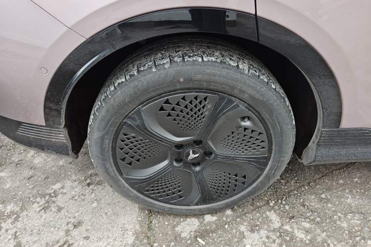 Used VOYAH COURAGE 2024 Four-Wheel Drive Global Edition