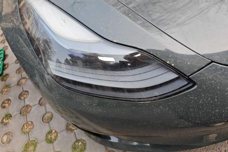 Used Tesla Model 3 2021 Standard Range Rear-Wheel Drive Upgraded Version 3D6
